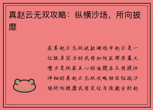 真赵云无双攻略：纵横沙场，所向披靡